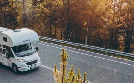 Camping-car Sunlight sur route bordée de forêt au coucher du soleil