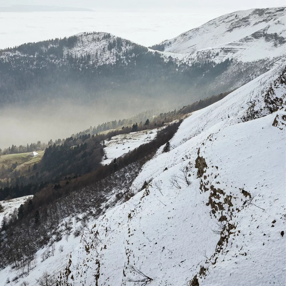 Paysage de montagne enneigée avec forêt en contrebas et ciel brumeux